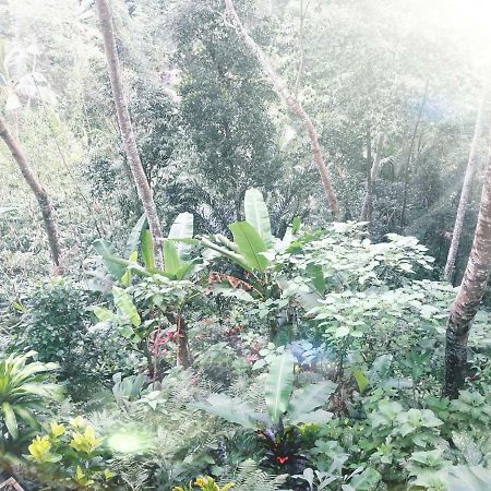 Ubud River Side House Hotel Bagian luar foto