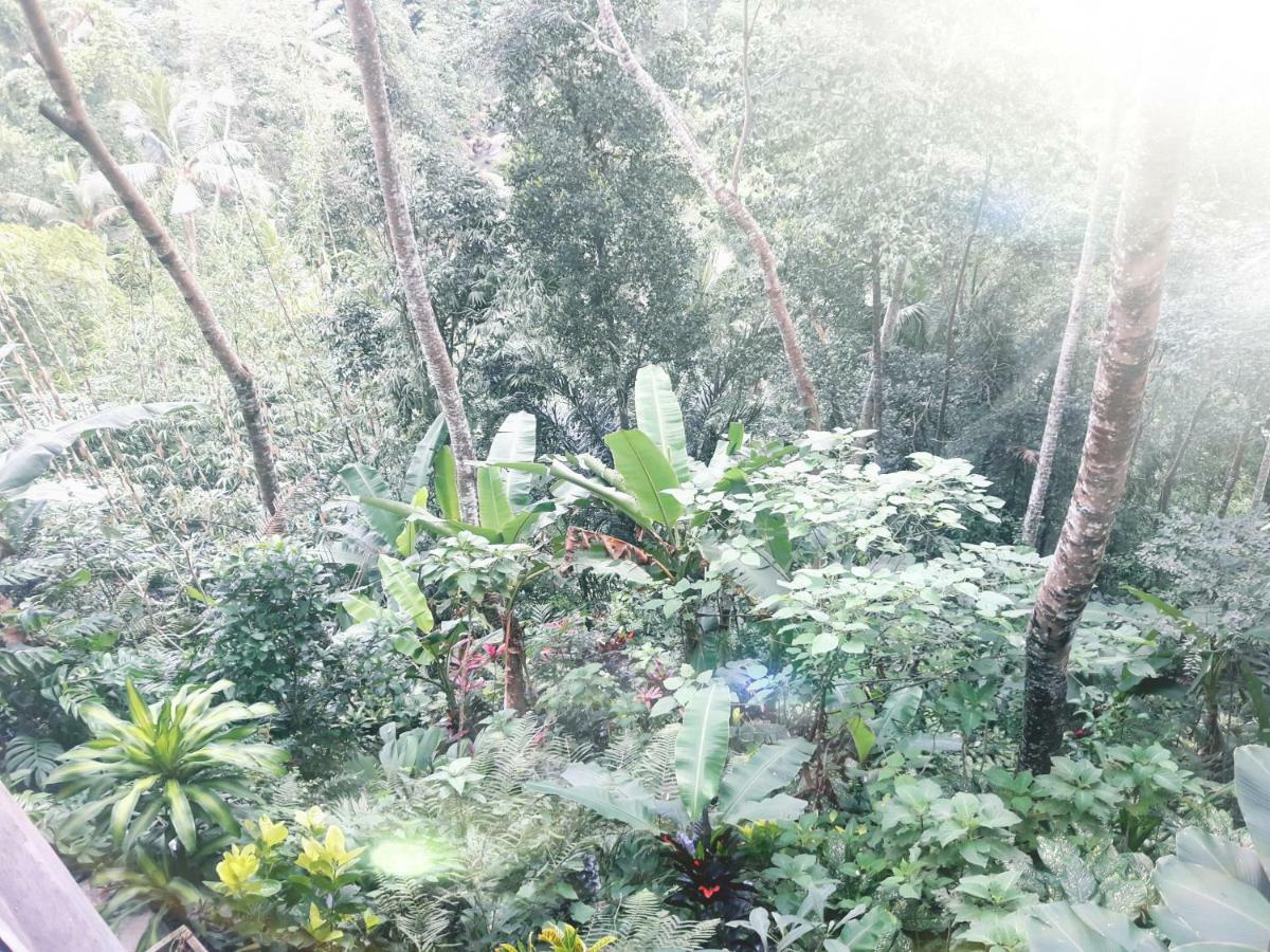 Ubud River Side House Hotel Bagian luar foto
