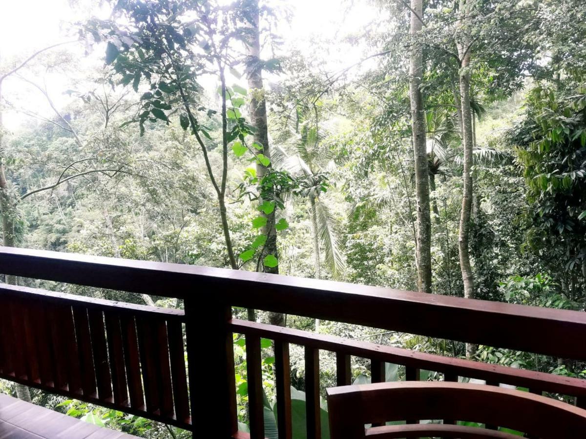 Ubud River Side House Hotel Bagian luar foto